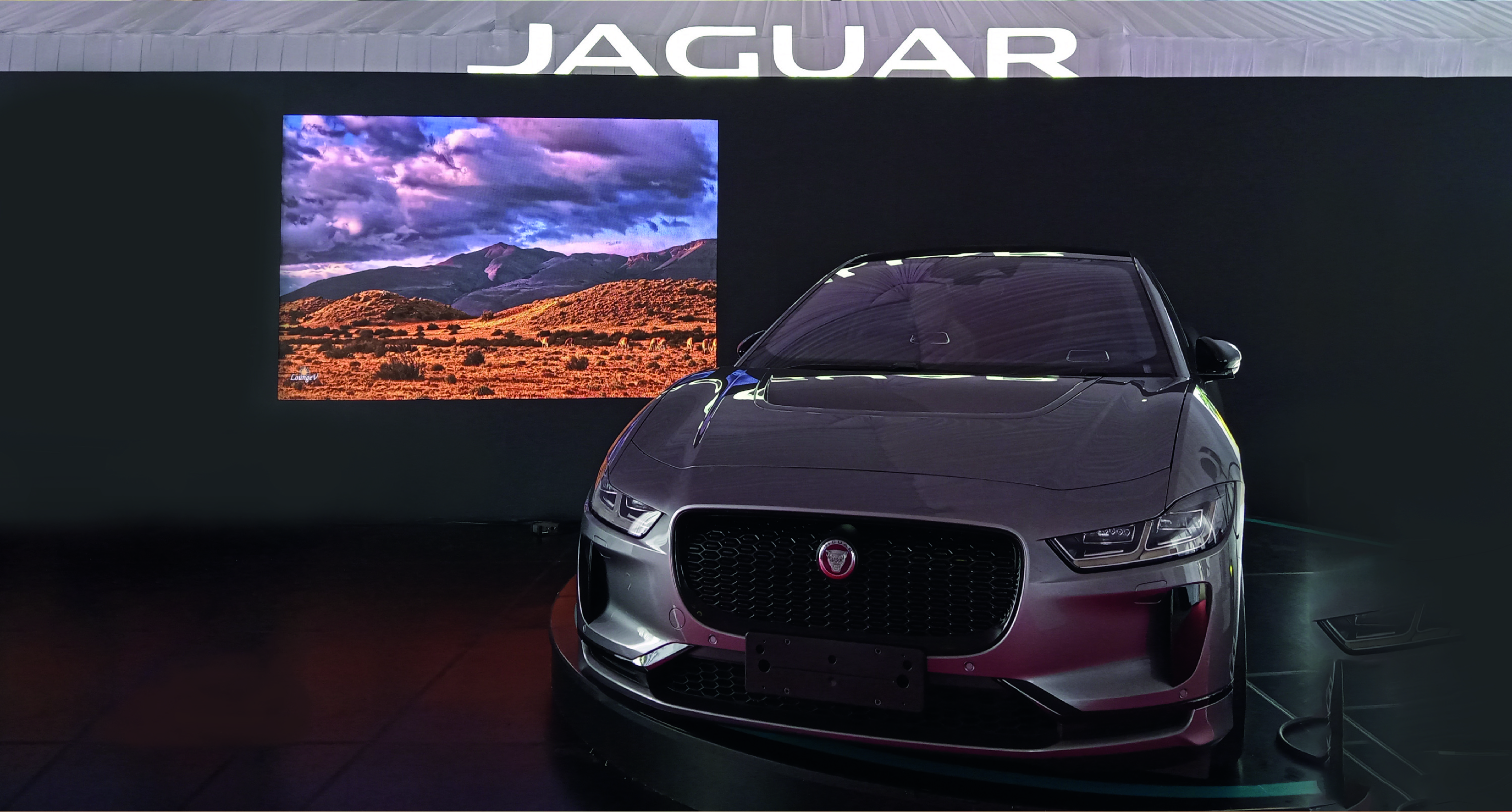 Jaguar Exhibition